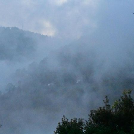 Hotel Bagar Trails Nainital Zewnętrze zdjęcie