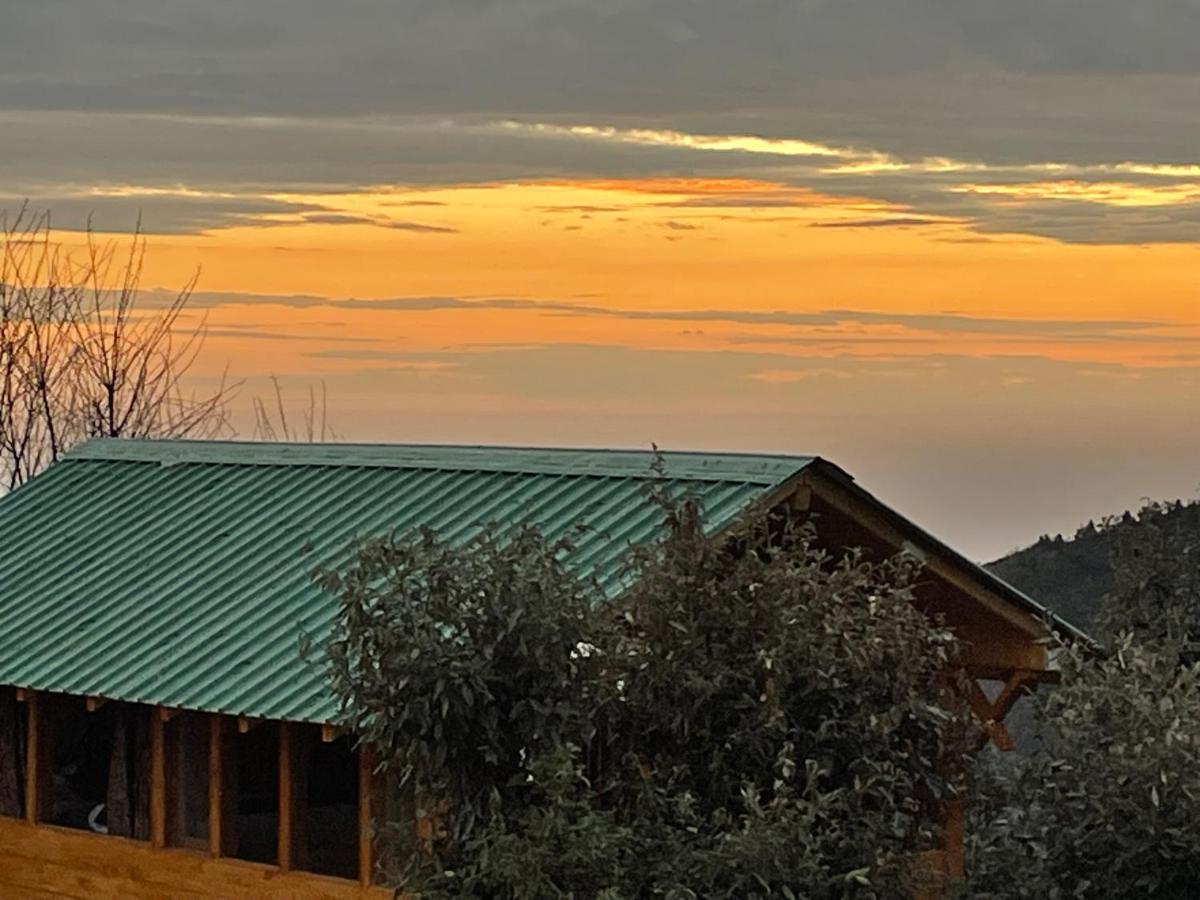 Hotel Bagar Trails Nainital Zewnętrze zdjęcie
